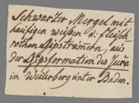 L 01599
<br/>
Label met opschrift
<br/>
<em>Escher von der Linth, Johannes Conrad (1767-1823)</em>